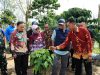 Dampingi Gubernur Lampung, Wabup Mad Hasnurin Dukung Peningkatan Produktivitas Kopi Lewat PHC di Kebun Induk Hanakau
