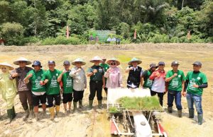 Wujudkan Astacita Presiden Kajati Lampung Bersama Bupati Lambar Tanam Padi Bersama Warga